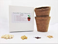 Joyous Jiffy "Veggie" Collection #2-(2)Round 3x3 Jiffy pots,(2)Soil Peat Pellets,(1)25+ Roma II Bush Bean Seeds,(1) 25+ Sugar Daddy Pea Seeds,(1)25+ Broccoli Raab Seeds,&(1)25+ Giant Belgium Tom Seeds