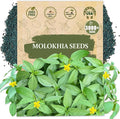 Premium Egyptian Spinach (Molokhia) Seeds – 3000+ Non-GMO, Heirloom Saluyot Seeds for Planting – Fast-Growing, Nutrient-Rich & High-Yield