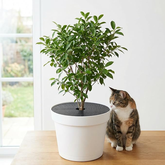 Adnee 10 Pcs 11.8 Inch Plant Pot Grids, Cuttable Plant Pot Soil Covers Protectors from Animals, Indoor Round Planter Pots Soil Guard for Outdoor Garden Plants Protection