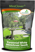 Outsidepride Perennial White MiniClover Seed - 2 lb. Dwarf, Small-Leaved, Drought & Wear-Tolerant Micro Clover Seeds for Lawn, Ideal Low-Maintenance & Easy to Grow Ground Cover Seeds for Home Yard