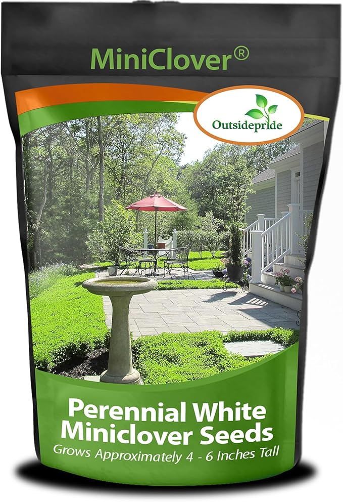 Outsidepride Perennial White MiniClover Seed - 5 lb. Dwarf, Small-Leaved, Drought & Wear-Tolerant Micro Clover Seeds for Lawn, Ideal Low-Maintenance & Easy to Grow Ground Cover Seeds for Home Yard