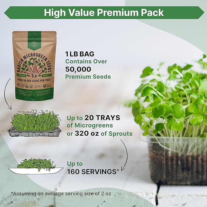 Organo Republic Radish Sprouting & Microgreens Seeds - Non-GMO, Heirloom Sprout Seeds Kit, 1lb Resealable Bag for & Growing Microgreens in Soil, Coconut Coir, Aerogarden & Hydroponic System.