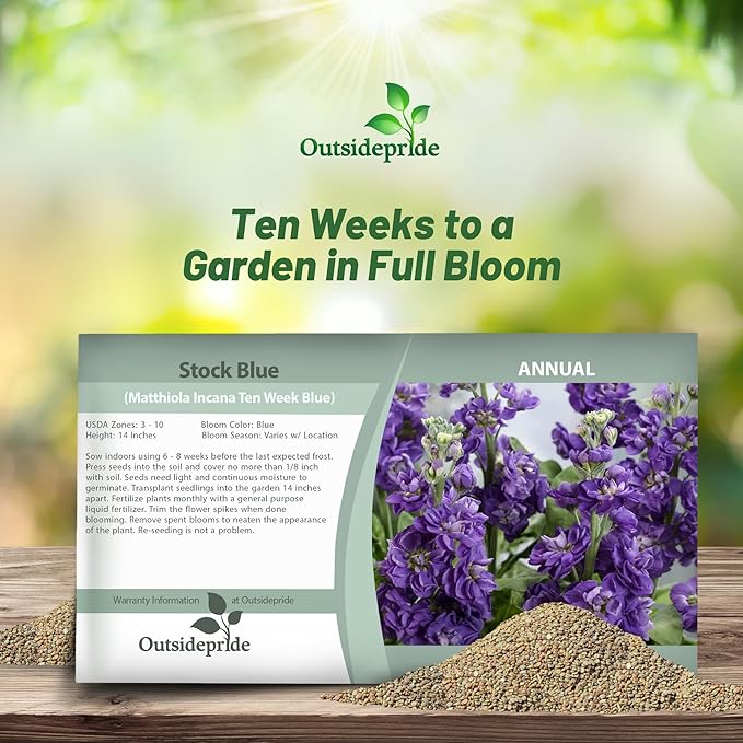 Outsidepride Ten Week Blue Mattiola Stock Seeds - 2000 Pcs Annual Flower Seeds for Planting with Fragrant Blooms That Attract Pollinators, Compact Growth, for Cut Flower Arrangements & Containers