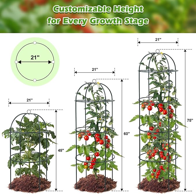 2Pcs Trellis for Climbing Plants Outdoor, 75" Tall Heavy Duty Metal Obelisk Garden Trellis Climbing Plant Support for Tomatos Cucumber Potted Vine Flower Rose Clematis Vegetable Pea Bean Trellises