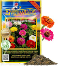 Everwilde California Giants Zinnia Seed Mix 1 Oz 4,250 Count – Bright Blooms in Pink, Purple, Red, Orange, Yellow & White – Easy-to-Grow Annuals for Gardens & Bouquets – Gold Vault Packet