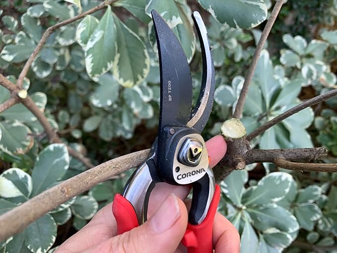 Corona BP 7200 Forged Pro Cut Bypass Hand Pruner, 1-Inch, Red