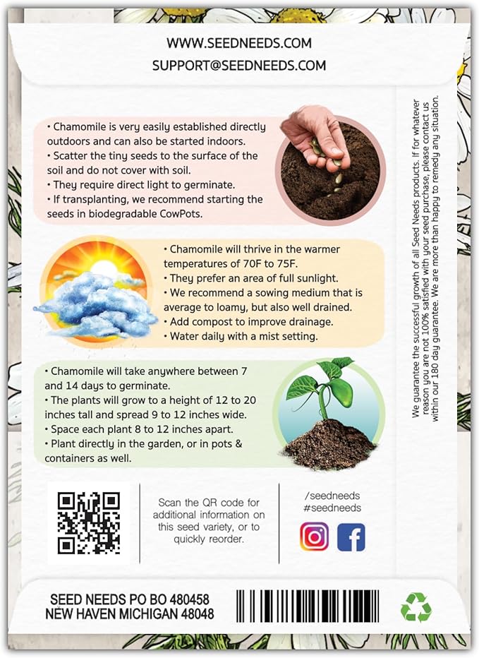 Seed Needs, German Chamomile Seeds - 500 Heirloom Seeds for Planting Matricaria recutita - Medicinal Herb for Indoor/Outdoor Gardens, Non-GMO & Untreated (2 Packs)