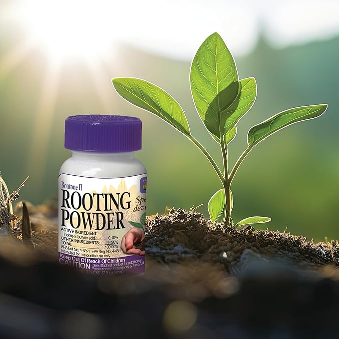 Bonide Bontone II Rooting Powder, 1.25 oz Ready-to-Use Dust for Houseplants and Transplants Speeds Root Development (Pack of 4)