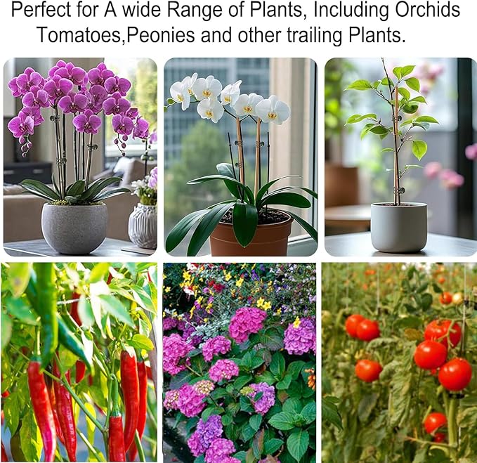 Plant Clips Orchid Clips Plants Orchid Support Clips 50Pcs Flower Vine Clips for Supporting Stems Vines Stalks Climbing Plant Grow Upright (Green, 0.6x0.86in) (Green, 0.6x0.86in)
