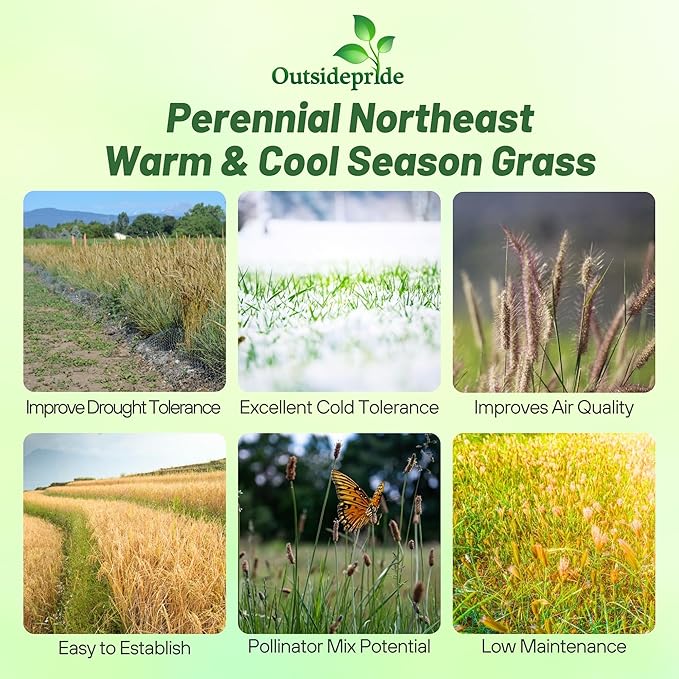 Outsidepride Perennial Northeast Native Grass Seed Mix - 5 lbs. Cold & Drought-Tolerant Warm & Cool Season Prairie Grass Seeds for Xeriscaping, Erosion Control, Wildlife Support, & Pollinator Habitats