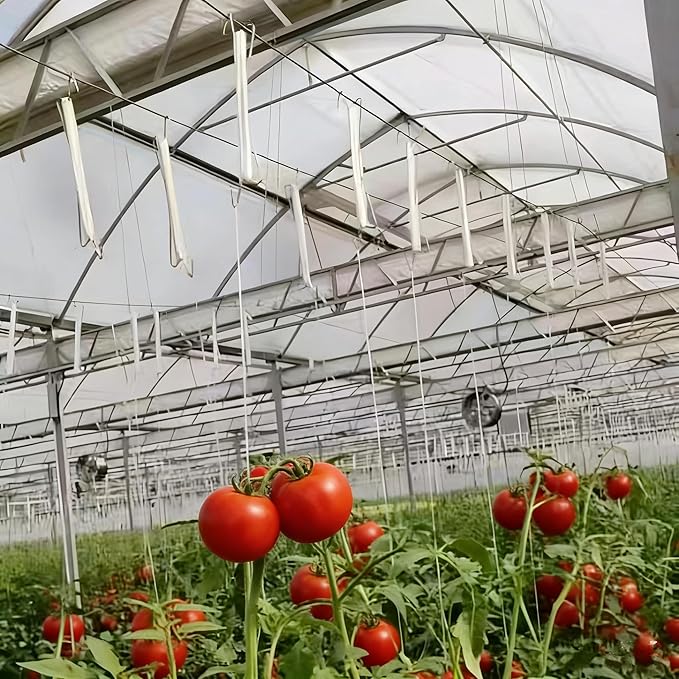 60pcs Tomato Hooks with String, Tomatoes Holder Hooks with 32.8ft Twine & Plant Support Clips, Vegetable Support J-Hook Clips Climbing Vine Crop Trellis Hooks for Vegetable Plant Fruit Flower (White)