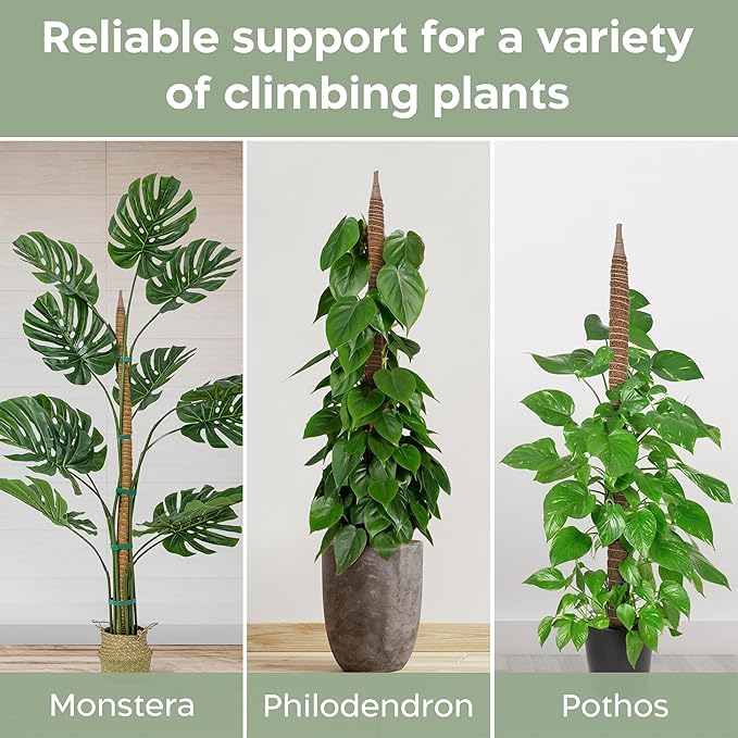 63'' Bendable Moss Pole Monstera Plant Support for Large Climbing Indoor Plants - Stakes for Potted Climbers - Tall Sticks Indoor Trellis for Houseplants - Accessories for Monstera Pot