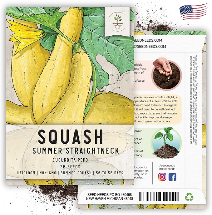 Seed Needs, Straightneck Squash Seeds - 30 Heirloom Seeds for Planting Cucurbita pepo - Delicious Edible Summer Squash to Plant an Outdoor Garden (1 Pack)