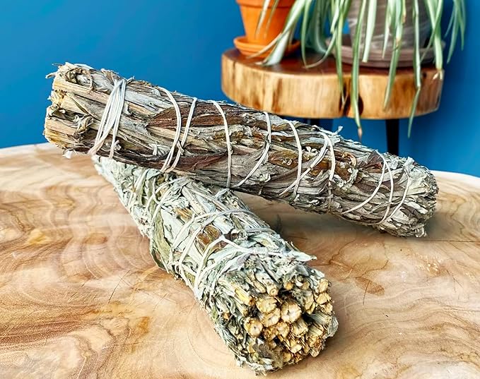 TomorrowSeeds - Common Mugwort Seeds - 5000+ Count - for 2025 Planting Artemisia Vulgaris Wormwood Weed Moxa Moxibustion Riverside Acupuncture Perennial Vegetable Herb Grow Your Own Home Farm Patio