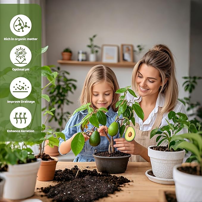 Organic Avocado Tree Potting Soil Mix 4qt, Enhance Growth and Transplant Success for Avocado Plants