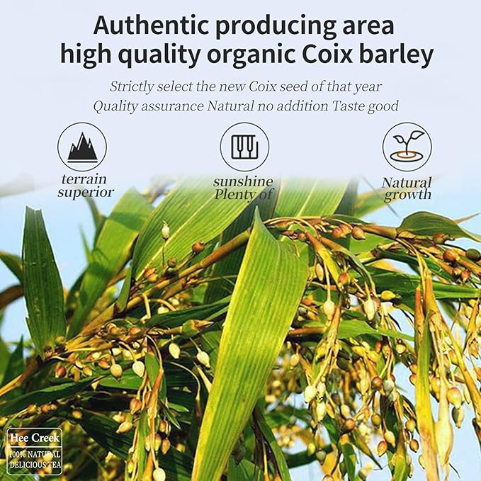 Hee Creek Job‘s Tears Coix Seed 18oz/500g Asian Pearl Barley Jobs Tears Loose Herbs Natural Health Grain Gluten-Free No Addition 薏米 薏仁米 薏苡仁
