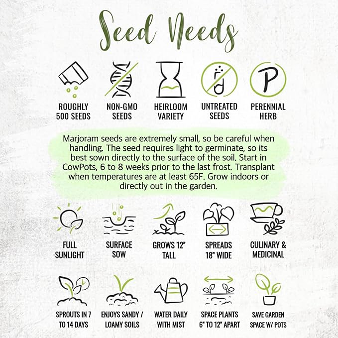 Seed Needs Sweet Marjoram Seeds for Planting - Heirloom, Non-GMO & Untreated - Perennial Culinary & Medicinal Herbs for Indoor/Outdoor Growing (1 Pack)