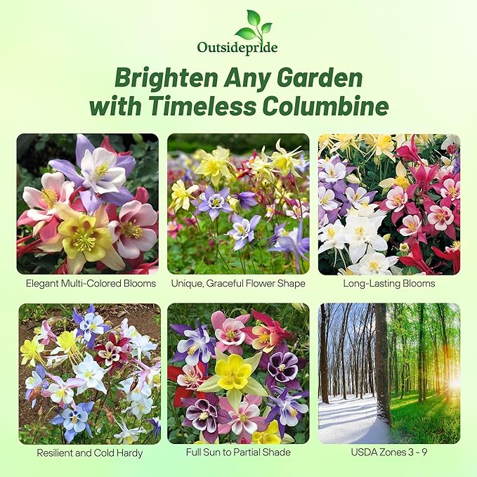 Outsidepride Mixed Columbine Seeds - 2000 Pcs Perennial, Easy to Grow Flower Seeds for Planting, Suitable for Pollinator-Friendly Garden, Cut Floral Arrangements, Ground Covers, or Borders