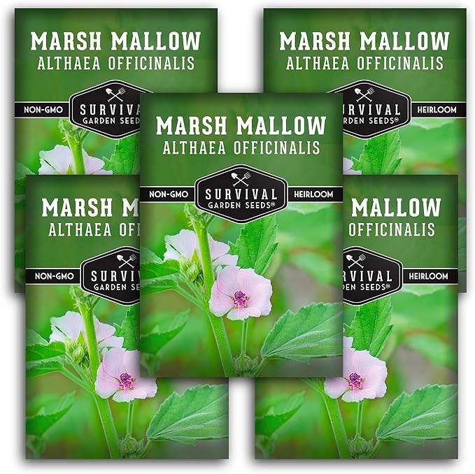 Marshmallow Seeds for Planting - Marsh Mallow Medicinal Herb, Althaea Officinalis, Traditional Root Plant for Herb Garden - Heirloom Non-GMO Open Pollinated - Survival Garden Seeds (5 Pack