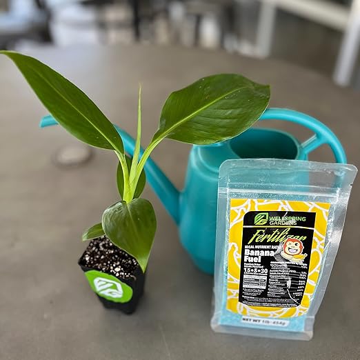 Wellspring Gardens Banana Fuel Fertilizer - Water-Soluble 15-5-30 Blend - Banana Plant Fertilizer - Plant Food - Formula for Banana Trees & Plants - Grow Healthy and Happy Plants (1 Pound)