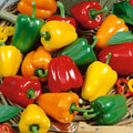Mini Belle Mix Sweet Pepper Seeds - 1 Oz ~5000 Seeds - Non-GMO - Vegetable Garden - Capsicum annuum