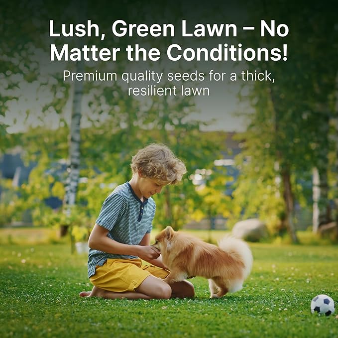 Hit List Seed Sun and Shade Tall Fescue Grass Seed Mix, Drought Resistant, Thick Lawn, Fast Germination