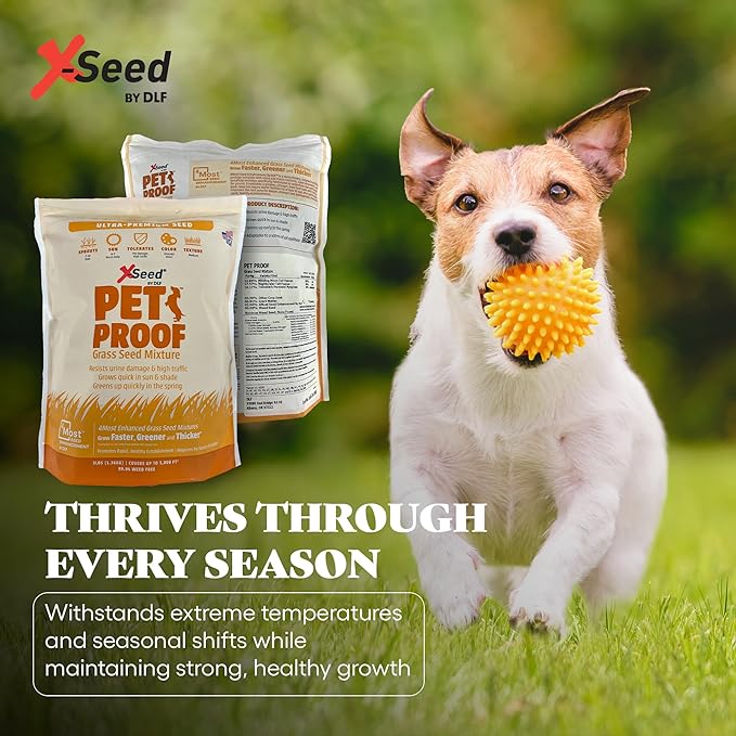 X-Seed Pet Proof Fescue Grass Seed – Dense Lawn for Sun & Shade, Urine Resisitant High Traffic Emerald Green Grass, Rapid Growing In Cool & Sunny Climates, Suited for Dogs – Perennial Blend - 3 lb Bag