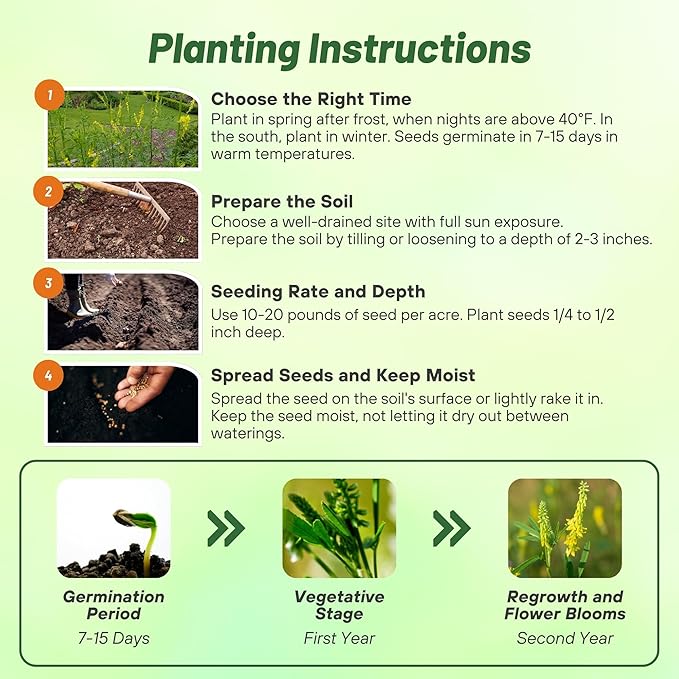 Outsidepride Yellow Sweet Clover Seed - 20 lbs Biennial, Drought-Tolerant, Frost-Resistant, Nitrocoated, Inoculated Yellow Clover Seeds Cover Crop for Forage, Honey Production, & Pollinators