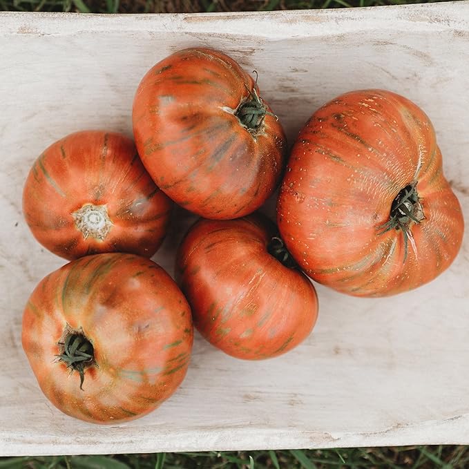 Chocolate Stripes Heirloom Tomato - 50 Seeds - Heirloom Chocolate Tomato Variety, Non-GMO Vegetable Seeds for Planting in The Home Garden, Thresh Seed Company