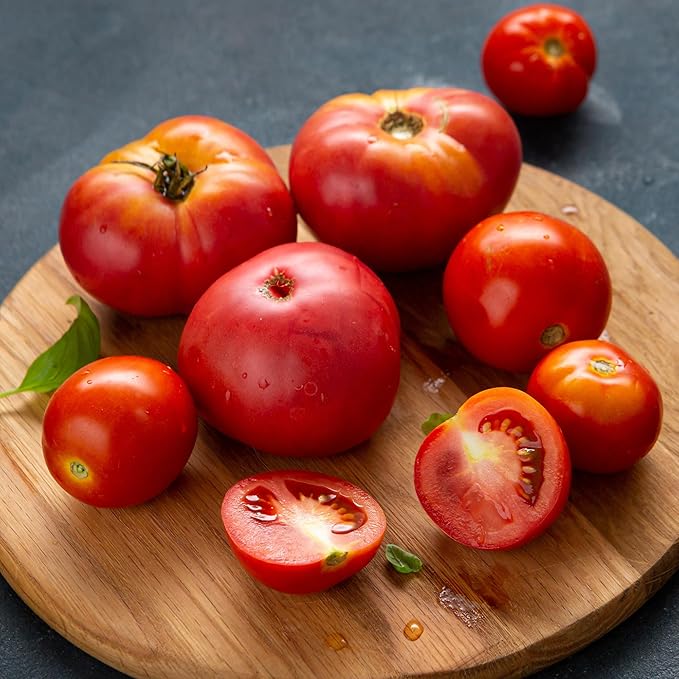 Banyan Botanicals Organic Tomato Seeds – Easy-to-Grow German Johnson Heirloom Beefsteak Tomato Seeds for Planting in Spring – 25 Count – Open Pollinated Non-GMO