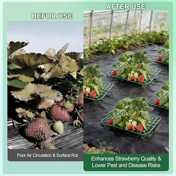 10Pack Strawberry Plant Support, Strawberry Plant Stand Holder Reusable Strawberry Plant Protector Greenhouse Strawberry Trellis Accessories Strawberry Planter for Strawberry Garden Plants