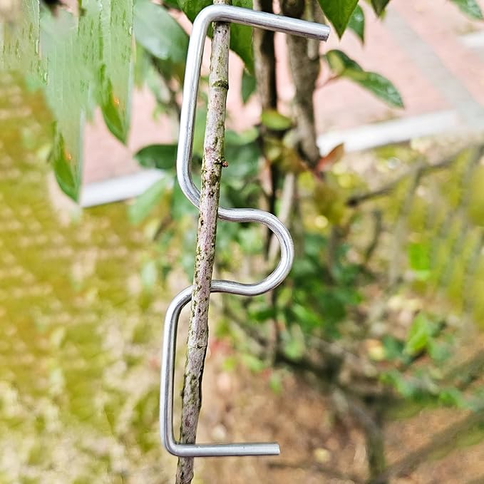 15 Pcs Fruit Tree Branch Puller Tying Machine Farm Tools New Plum Tree Open Angle Pull Branch Stereotyped Branch Bending Tool Fruit Branch M-3.94(inch)