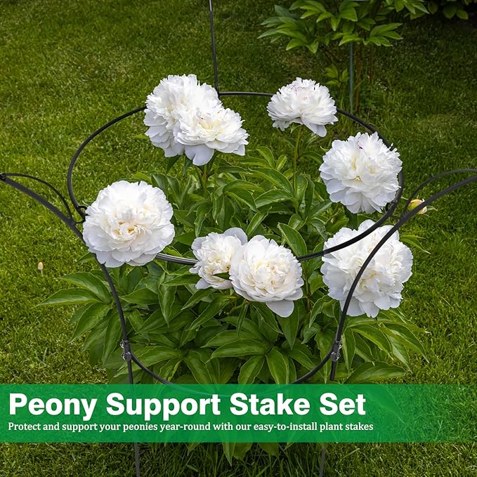 2 Pack Peony Cages and Supports Cages 13" D x 22.8" H Heavy Duty Metal Support Frame for Peonies & Roses Natural Bouquet Shape Garden Stakes for Outdoor Plants Flowers Ornamental (Black)