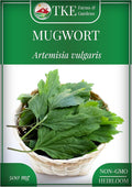 TKE Farms & Gardens - Mugwort Seeds for Planting, 500 mg Packet, 4000+ Non-GMO Heirloom Herb Seeds, Fast-Growing Perennial Herb, Includes Easy Planting Instructions