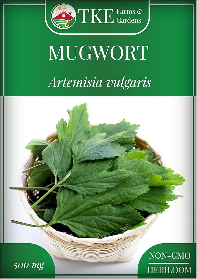 TKE Farms & Gardens - Mugwort Seeds for Planting, 500 mg Packet, 4000+ Non-GMO Heirloom Herb Seeds, Fast-Growing Perennial Herb, Includes Easy Planting Instructions