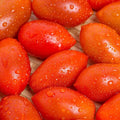 Sugary Hybrid Tomato Seeds (10 Seeds)