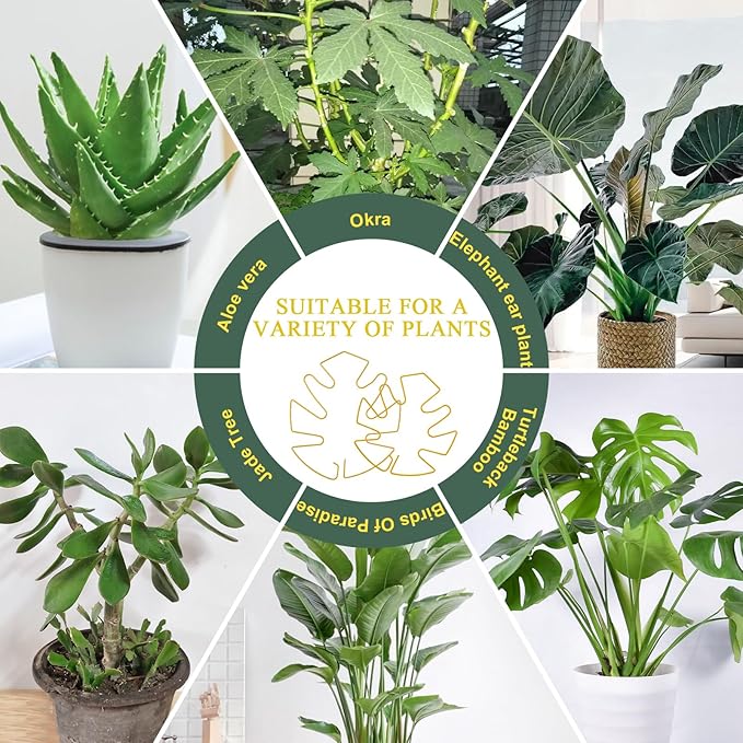 4 Pack Plant Stem Support, Adjustable Metal Monstera Plant Support Small 2PCS & Large 2PCS, Plant Supports for Indoor Plants Moss Pole Growth Plant Support Ring (Gold)