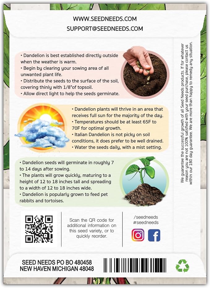 Seed Needs Garnet Stem Dandelion Seeds for Planting - Non-GMO, Heirloom & Untreated Edible Herbs - Grow Your own Food for Tortoises, Rabbits & Bearded Dragons (5 Packs)