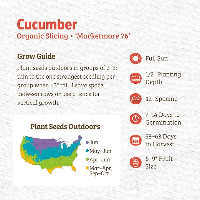 Back to The Roots 100% Organic Seed Packets Cucumber 'Marketmore 76' (Pack of 2)