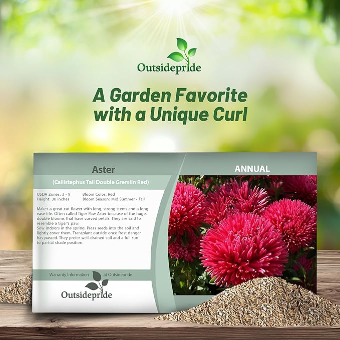 Outsidepride Gremlin Aster Seeds - 1000 Pcs. Annual, Hardy & Pollinator Friendly Flower Seeds for Planting Vibrant Red Blooms and Oval-Shaped Leaves, Great for Meadows & Aesthetic Gardens