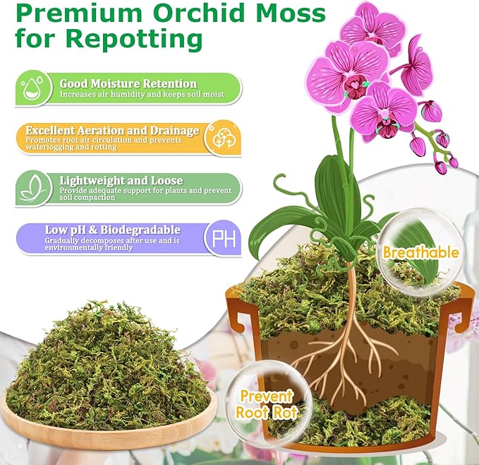 Legigo 3.3LBS Sphagnum Moss for Plants, 60QT Natural Orchid Moss Potting Mix Dired, Green Forest Plant Moss for Orchid Repotting Carnivorous Succulents Indoor Potted Plants Gardening and Reptiles