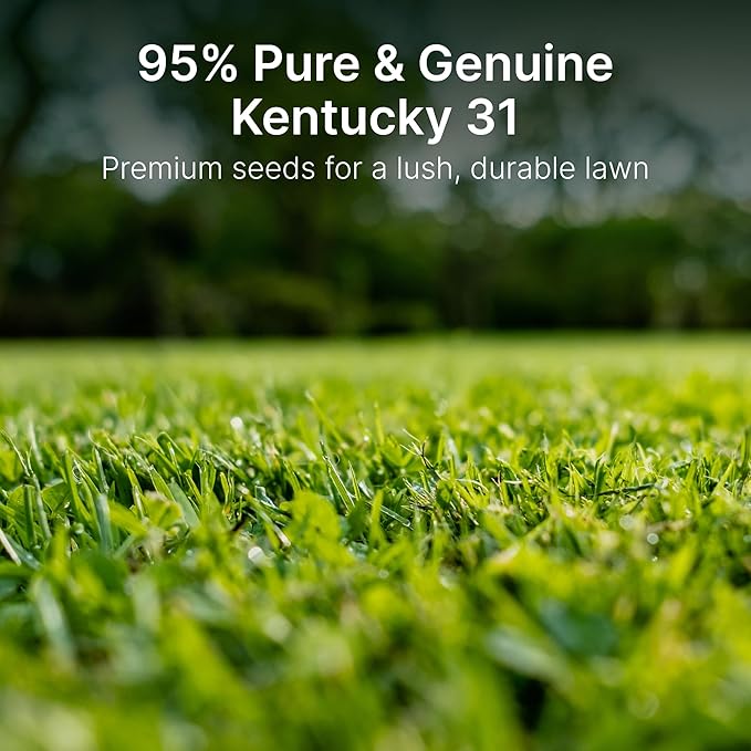Hit List Seed Kentucky 31 K31 Tall Fescue Grass Seed, 5 lbs - Drought Tolerant, Hardy & Abuse Tolerant, Excellent Forage, Pure Seed, Genuine KY31 Seeds, Weed Free, Hunting, Attractive to Deer and Elk