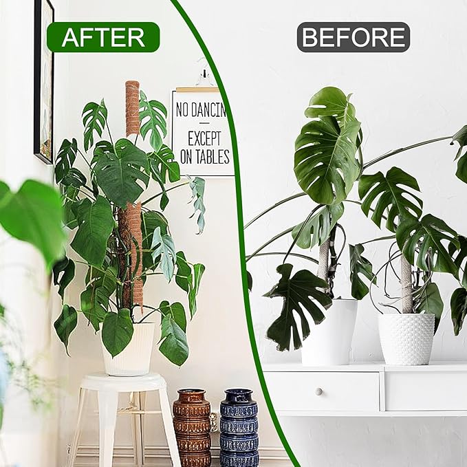 3 Pack 50 Inch Bendable Moss Pole Monstera Plant Support for Climbing Plants Indoor DIY Tall Moss Ploles Made of Coco Coir Sticks Support Stakes for Pothos Philodendron Potted Plants to Grow Upwards
