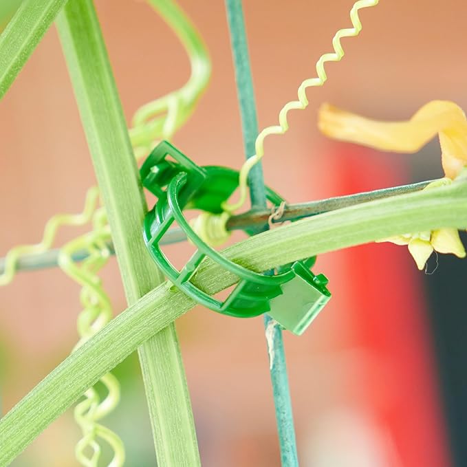 200Pcs Garden Vine Plant Support Clips,Plastic Fixing Clips for Securing and Training Climbing Plants,Tomatoes,Grapes,Vine Vegetables and Potted Plant (200, Green)
