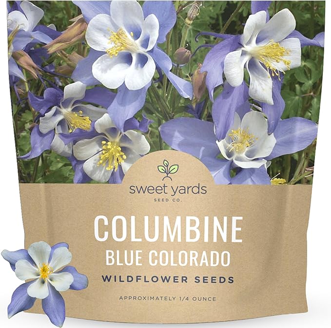 Columbine Blue – Large 1/4 Ounce Seed Packet – 6,000 Flower Seeds for Planting – Aquilegia caerulea