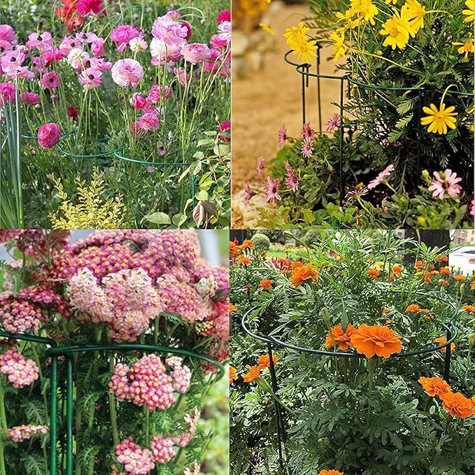 10 Pack Plant Support Stakes 16 Inch Plant Stakes for Outdoor and Indoor Plants,Peony Cages and Supports Plant Stem Support Flower Metal Stakes for Gardening Peonies Support Cages for Plants