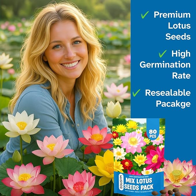 80Pcs Lotus Seeds for Planting – Bonsai Bowl Lotus Flower Seeds, Mixed Non-GMO Easy Grow Loto de Cuenco Semillas for Pond, Fish Tank & Home Garden