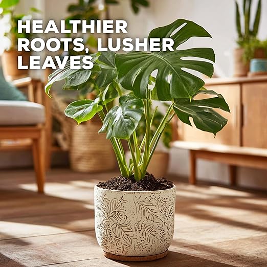 Soil Seed & Water Tropic Treasure Tropical Potting Mix – Rich Soil for Exotic Plants, Hibiscus & Monstera - Indoor Plant Mix - OMRI Listed