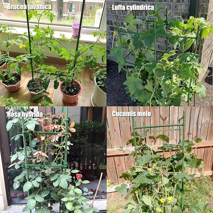 Orgrimmar 4 Pack Tomato Trellis & Cages, Plant Support Stakes for Outdoor Vertical Garden, Climbing Plants, Vegetables, Tomatoes, Cucumbers