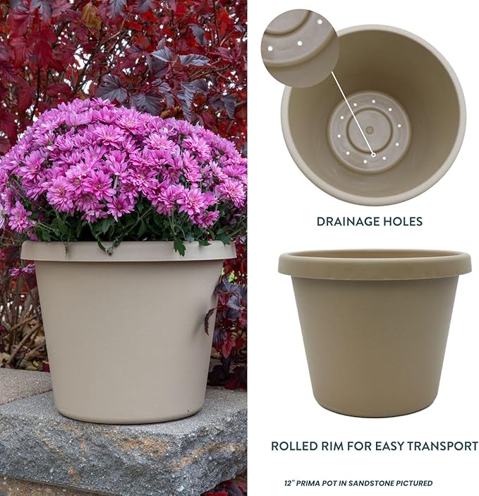 The HC Companies Prima Round Plastic Plant Pot w/Rolled Rim - Lightweight & UV Resistant Flower Pot for Herbs & More - Outdoor & Indoor Plant Pots w/Drainage (14 inch, Sandstone, Pack of 1)